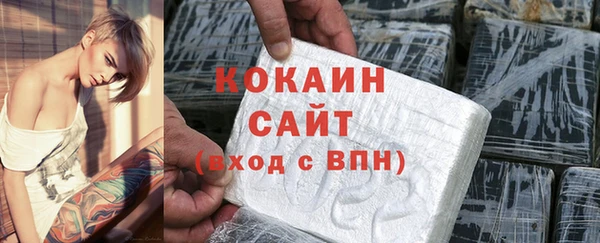 хмурый Дмитриев
